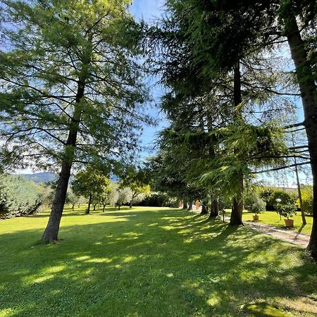 Вілла Secret Garden Egle Капріно-Веронезе Екстер'єр фото